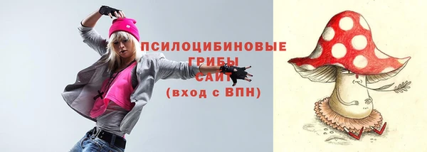 соль ск Балабаново