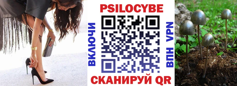 Галлюциногенные грибы мицелий  купить   Заречный 